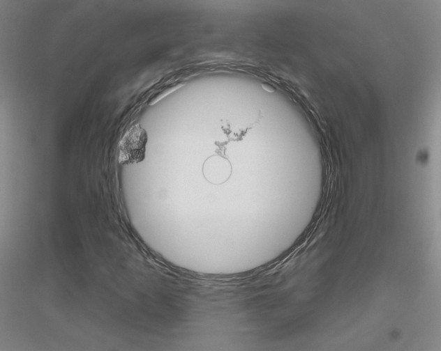 X0000116791253201001291511