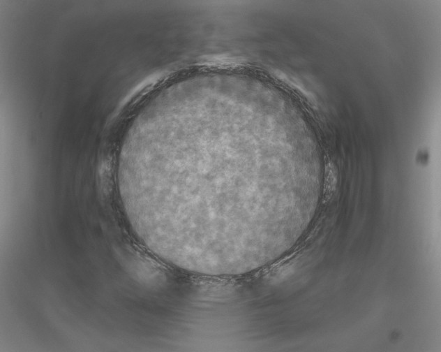 X0000116791254201001291511