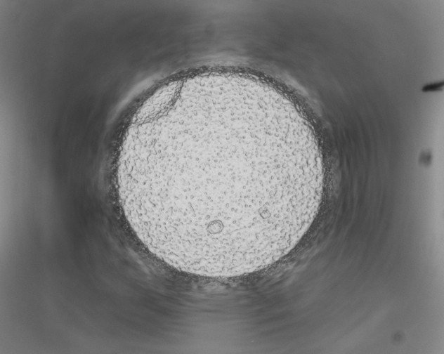 X0000116791255201001291511