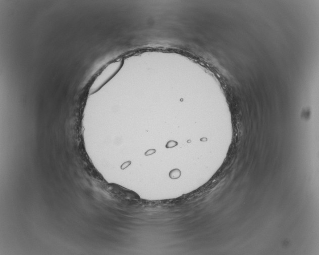 X0000116791256201001291511