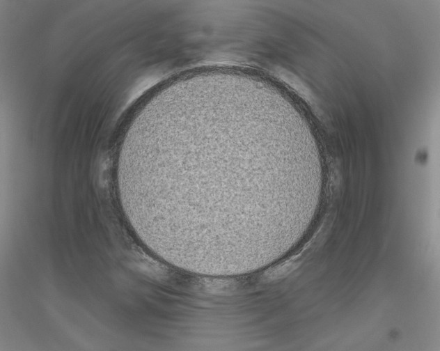 X0000116791258201001291511