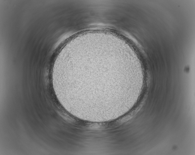 X0000116791259201001291511