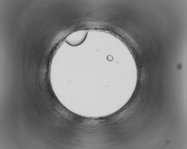 X0000116791261201001291511