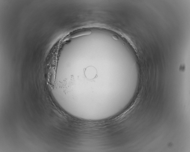 X0000116791263201001291511