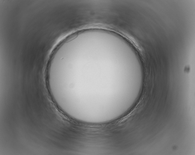 X0000116791264201001291511