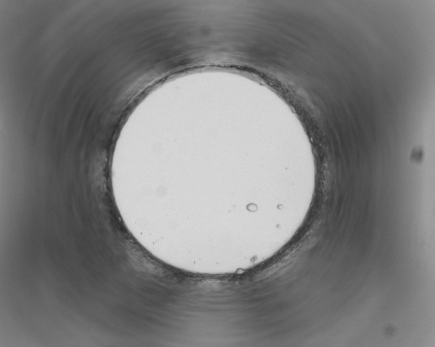 X0000116791265201001291511
