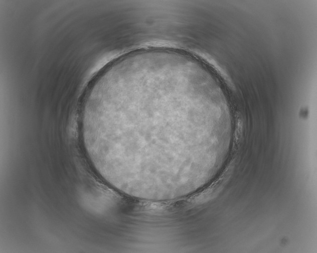 X0000116791266201001291511