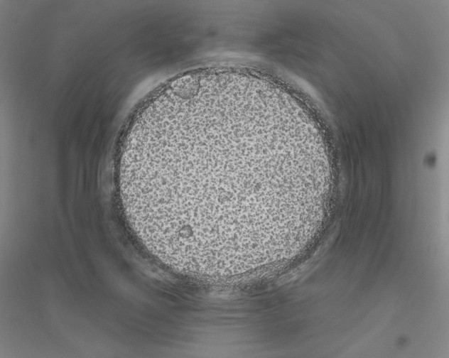 X0000116791267201001291511