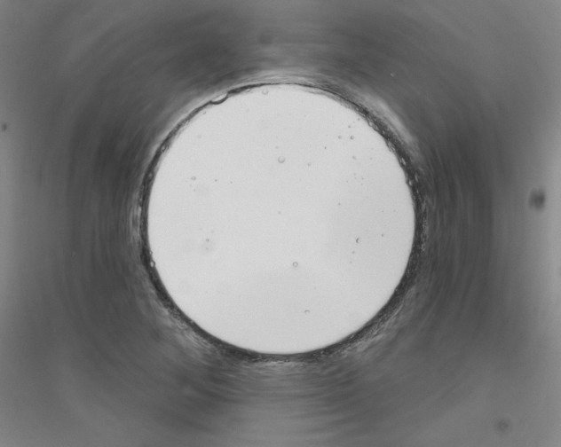 X0000116791268201001291511