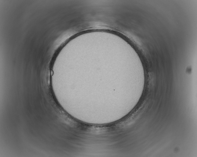 X0000116791269201001291511