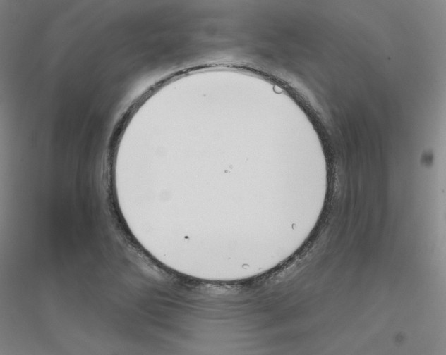 X0000116791270201001291511
