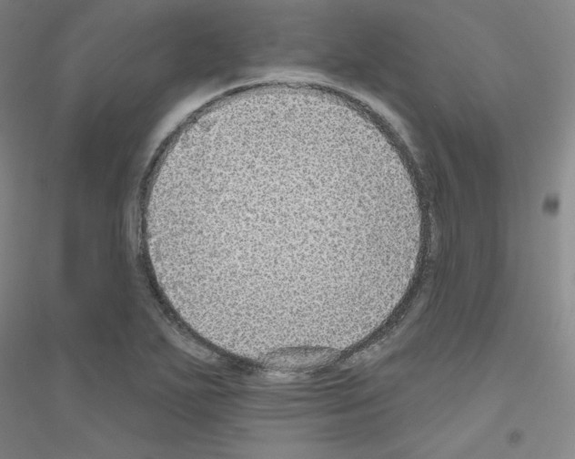 X0000116791271201001291511