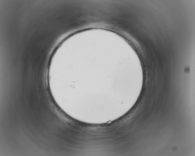X0000116791272201001291511