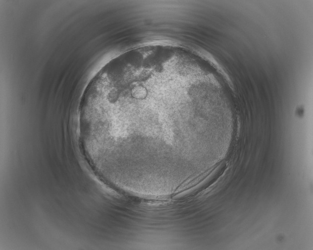 X0000116791274201001291511