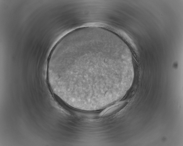 X0000116791276201001291511