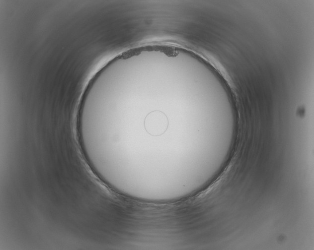 X0000116791277201001291511
