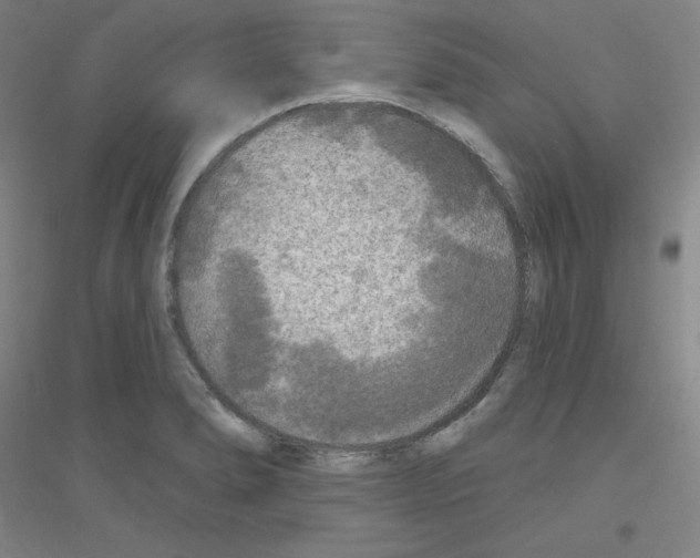 X0000116791278201001291511