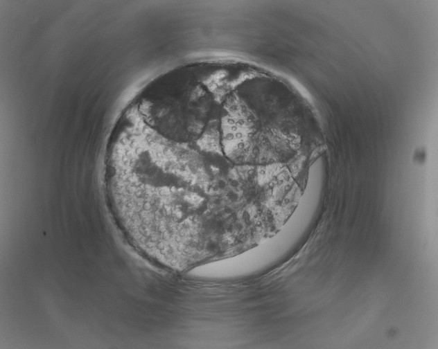 X0000116791279201001291511
