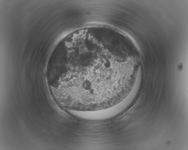 X0000116791283201001291511