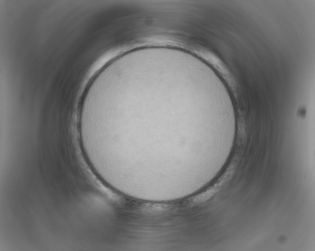 X0000116791286201001291511