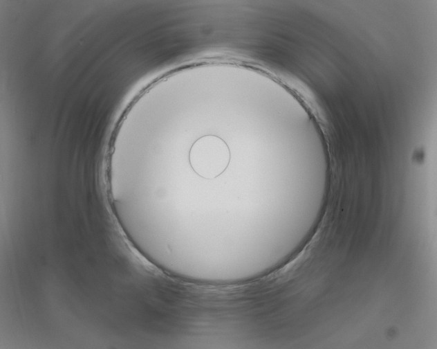 X0000116791288201001291511
