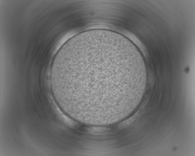 X0000116791290201001291511