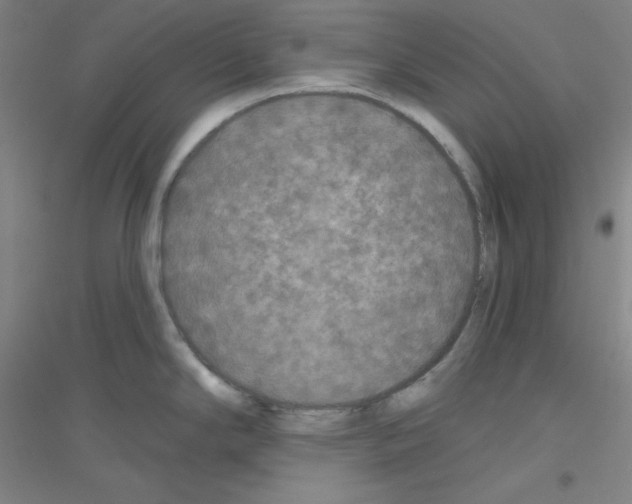 X0000116791294201001291511