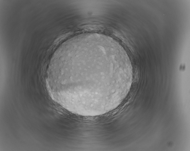 X0000116791297201001291510