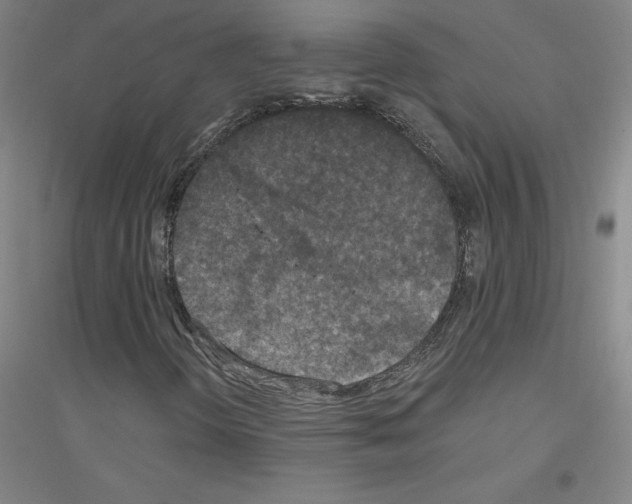 X0000116791298201001291510