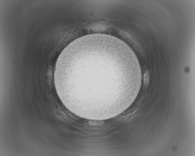 X0000116791299201001291510