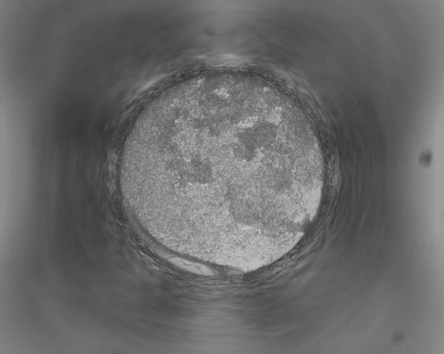 X0000116791301201001291510