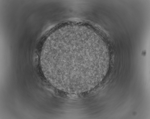 X0000116791302201001291510