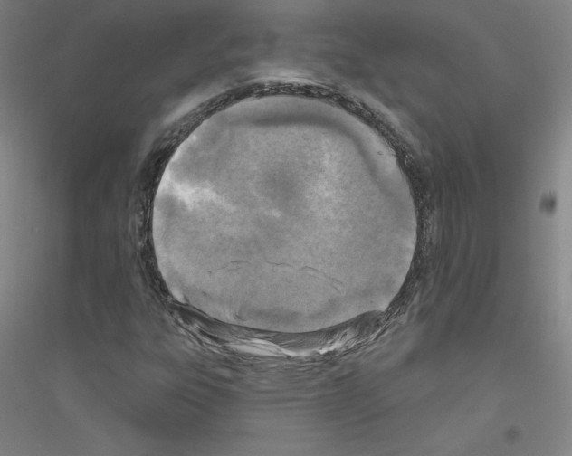 X0000116791303201001291510