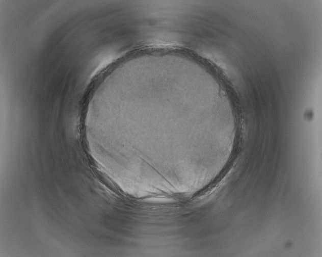 X0000116791306201001291510