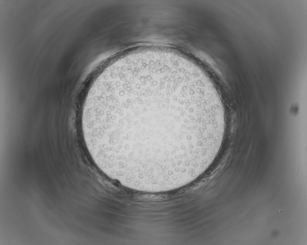 X0000116791307201001291510