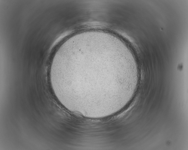 X0000116791309201001291510