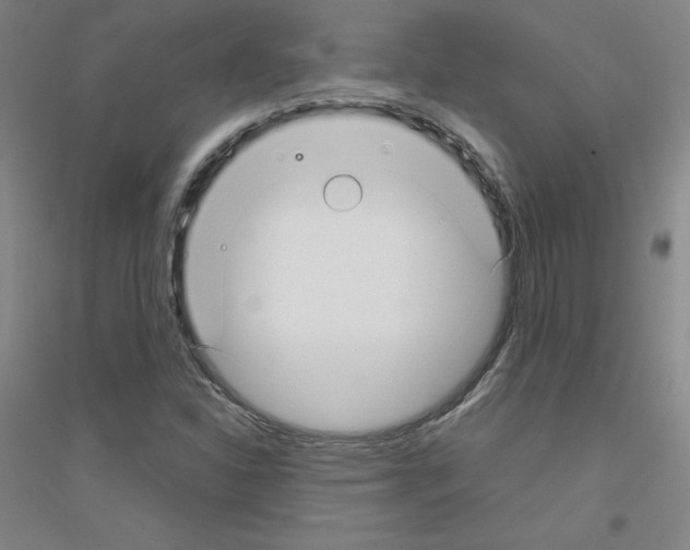 X0000116791310201001291510