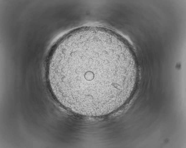 X0000116791311201001291510