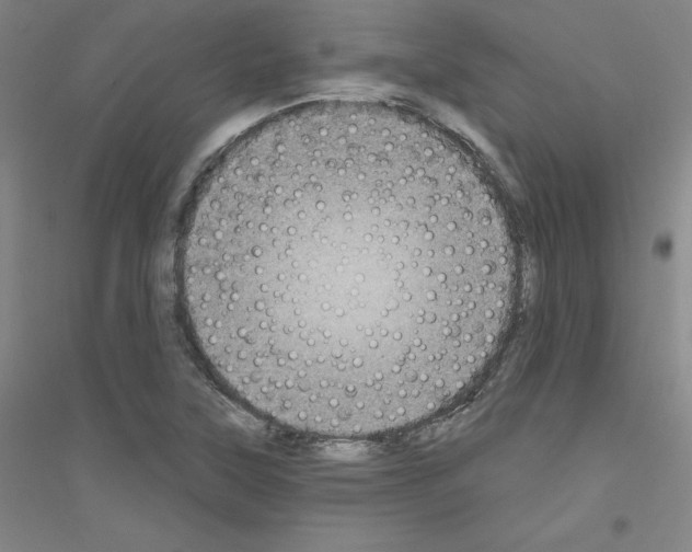 X0000116791315201001291510