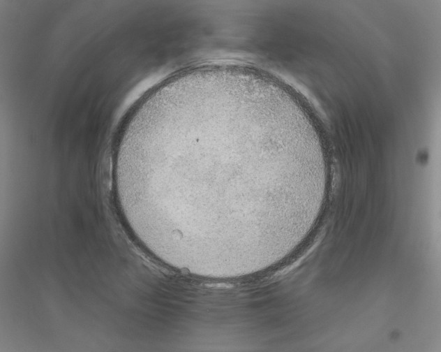 X0000116791317201001291510