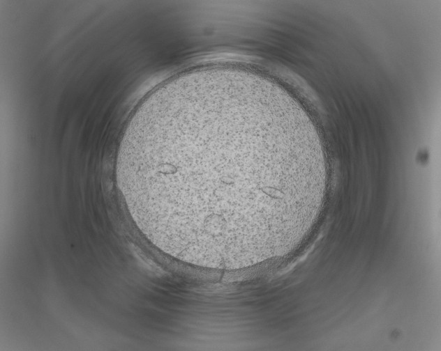 X0000116791321201001291510