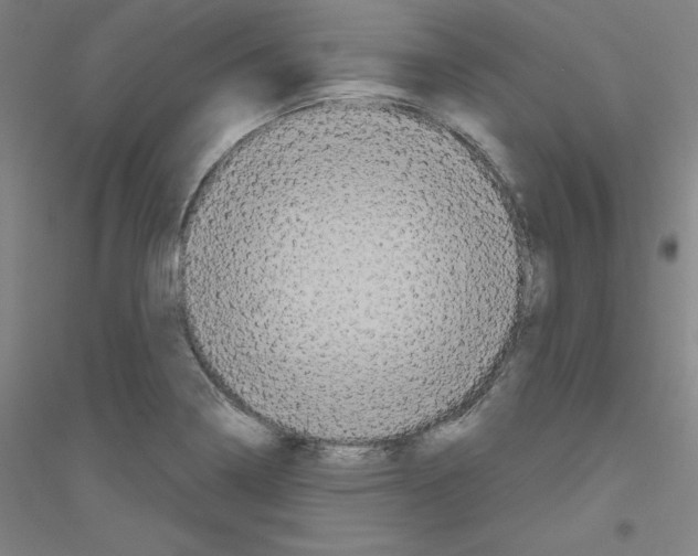 X0000116791322201001291510