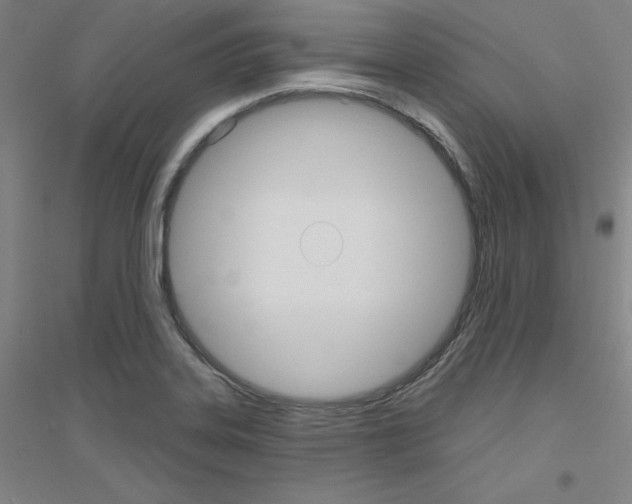 X0000116791323201001291510