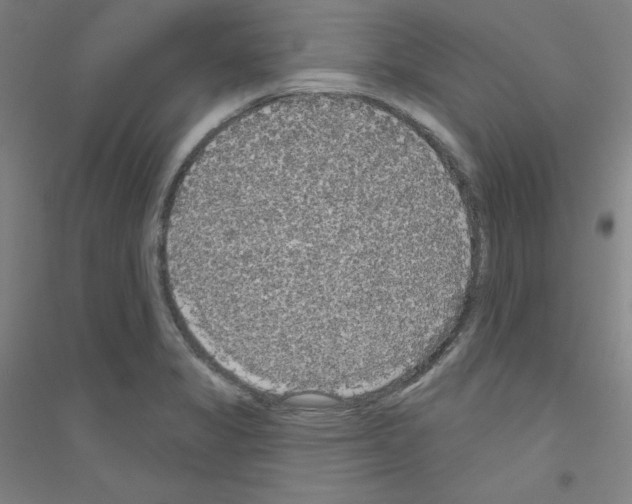 X0000116791325201001291510
