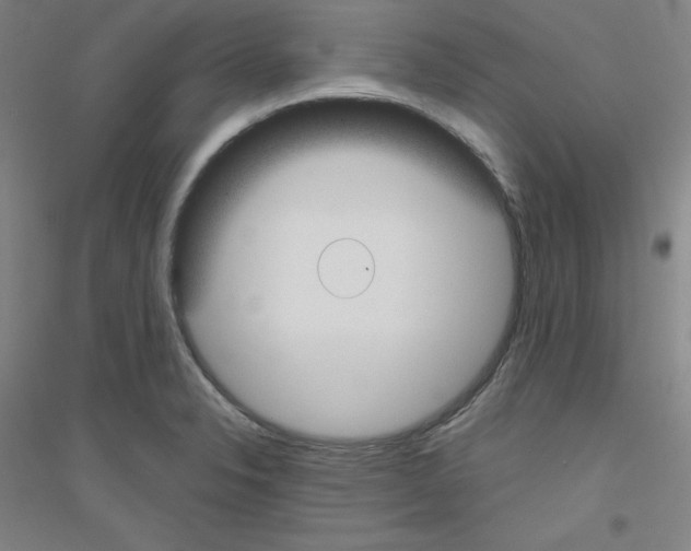 X0000116791326201001291510