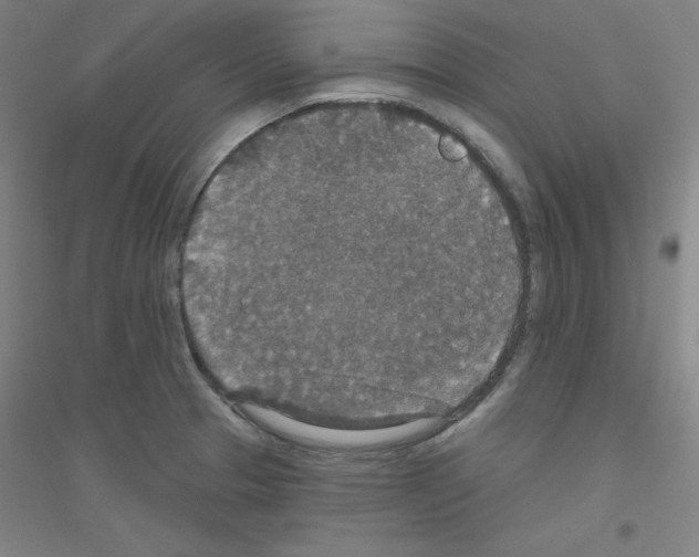 X0000116791329201001291510