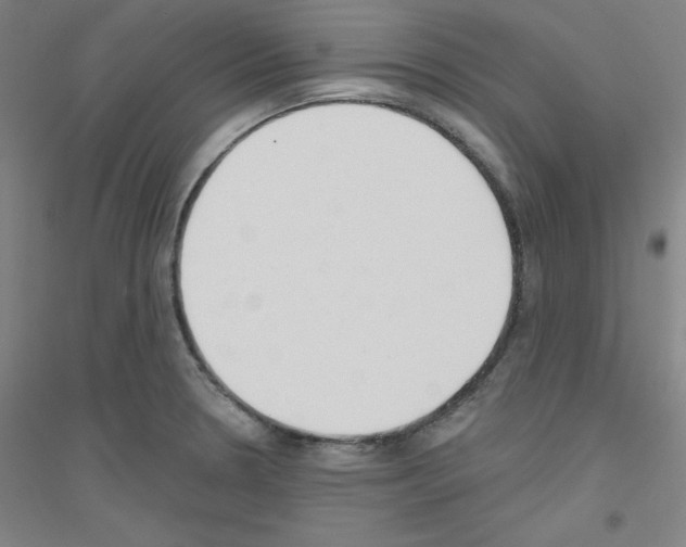 X0000116791330201001291510