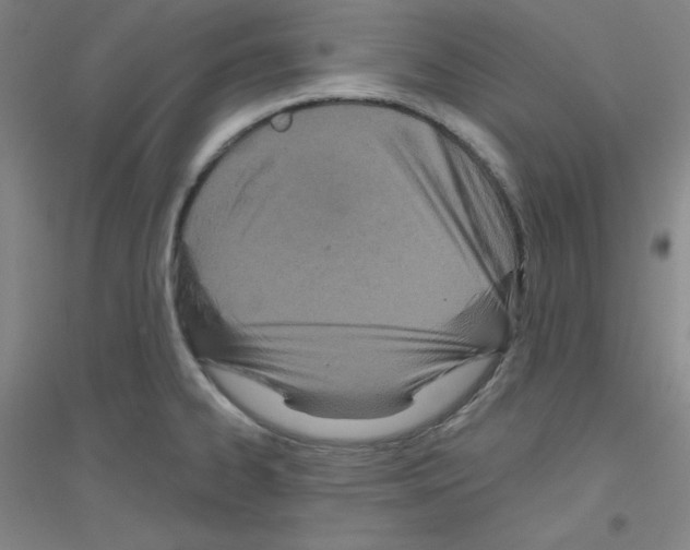 X0000116791334201001291511