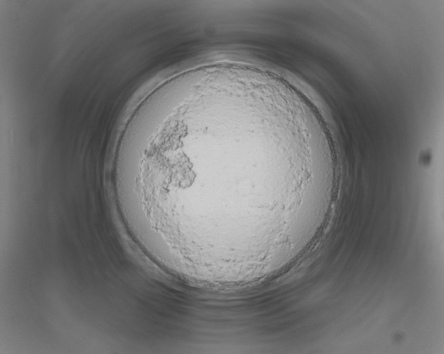 X0000116791338201001291511