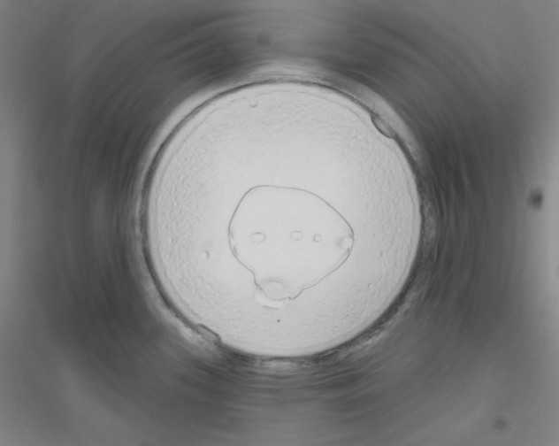 X0000116791339201001291511